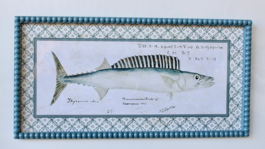 BARACUDA FISH PICTURE BLUE BOBBLE FRAME  35X70CM
